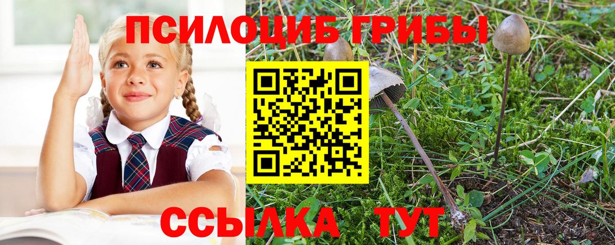 Зеленодольск  Галлюциногенные грибы MAGIC MUSHROOMS  Вход с VPN 